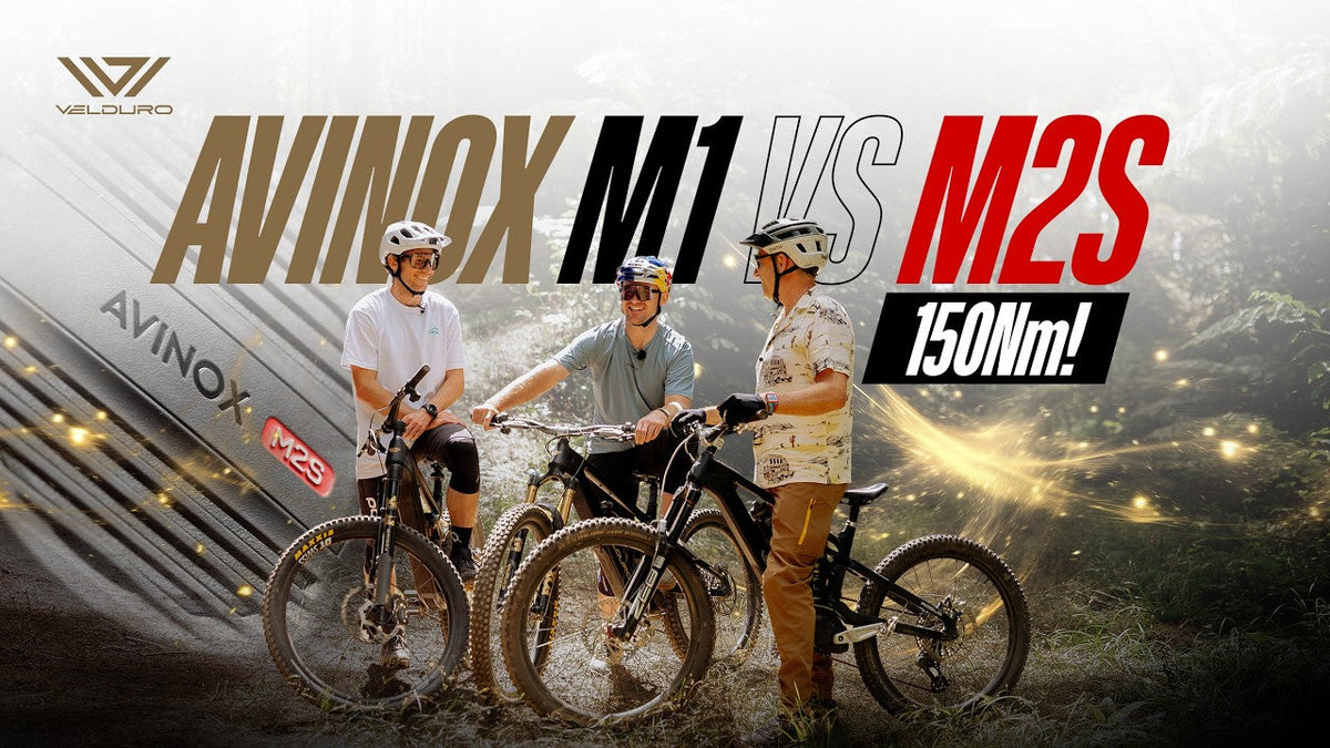 Avinox M2S vs. M1: Motor-Vergleichstest mit Brook Macdonald