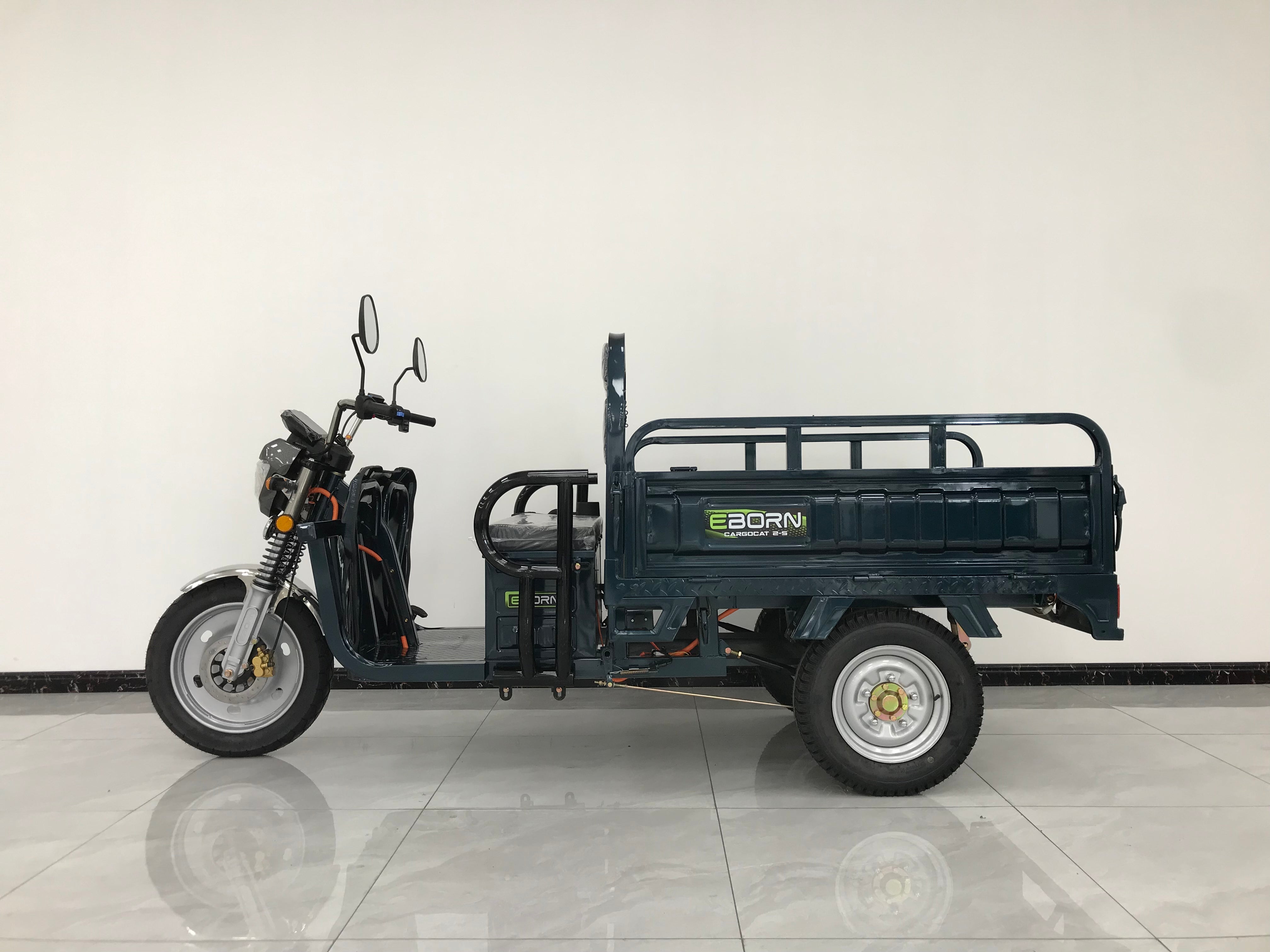 Eborn Cargo Cat 2 V2