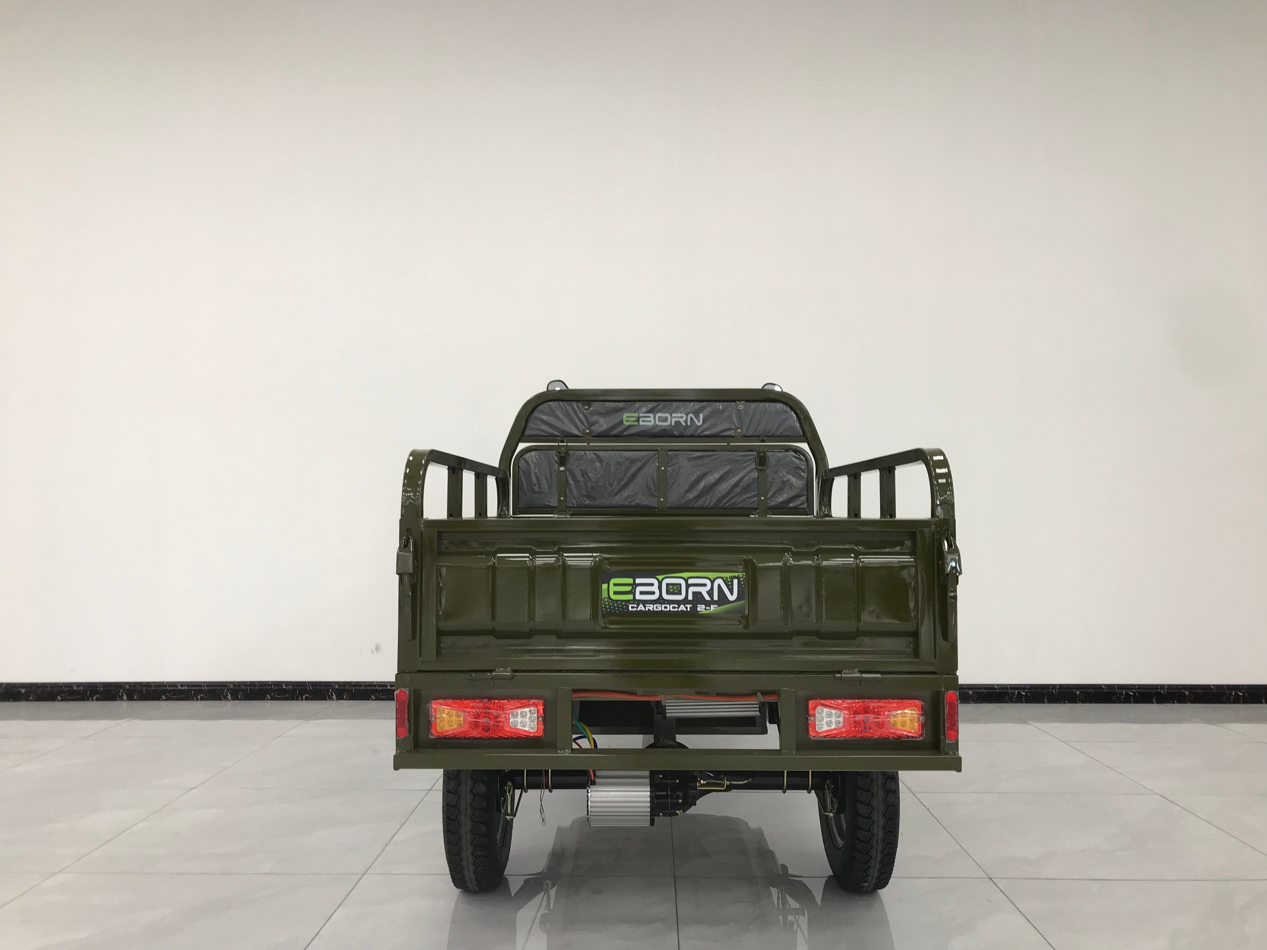 Eborn Cargo Cat 2 V2