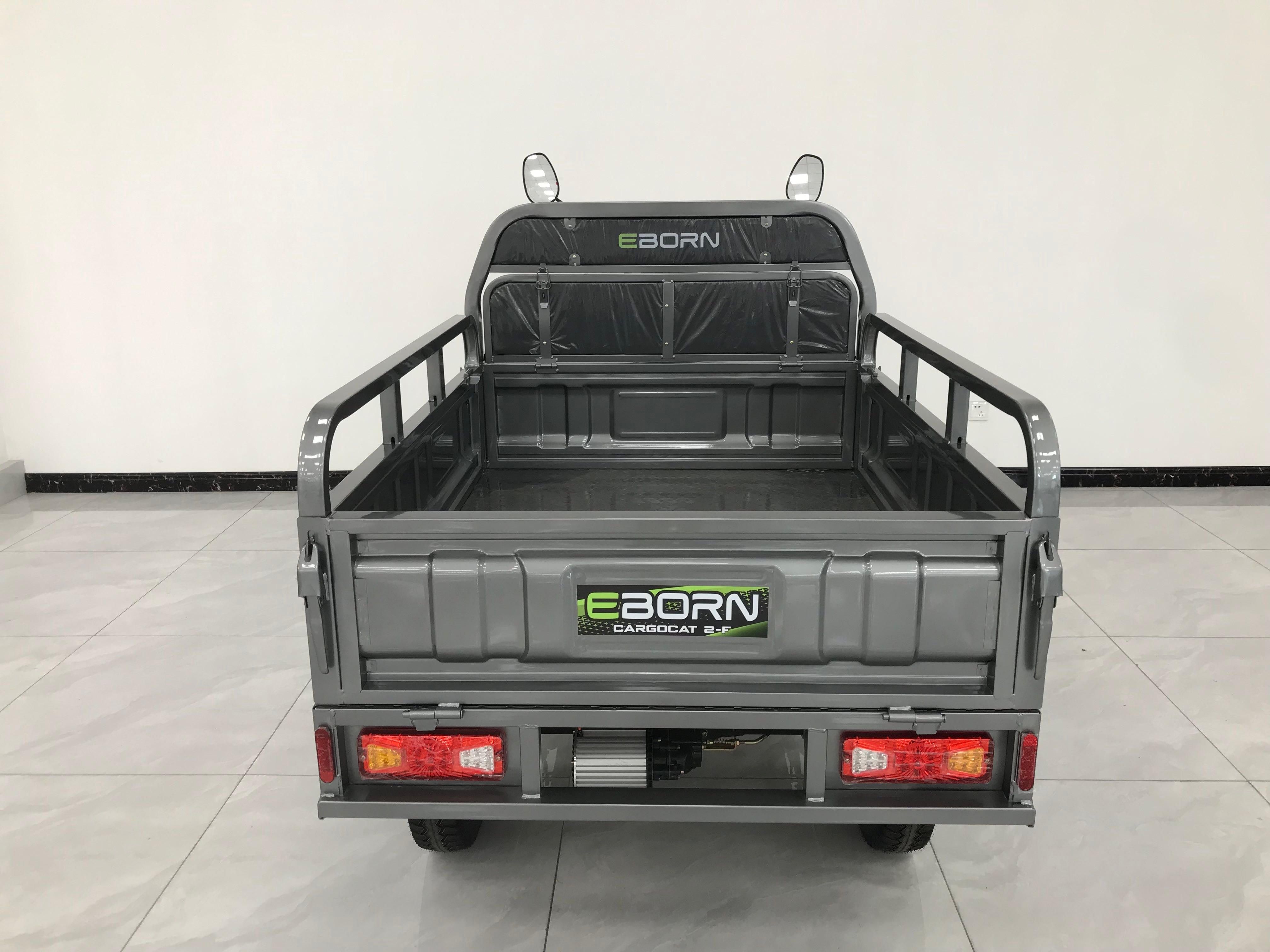 Eborn Cargo Cat 2 V2