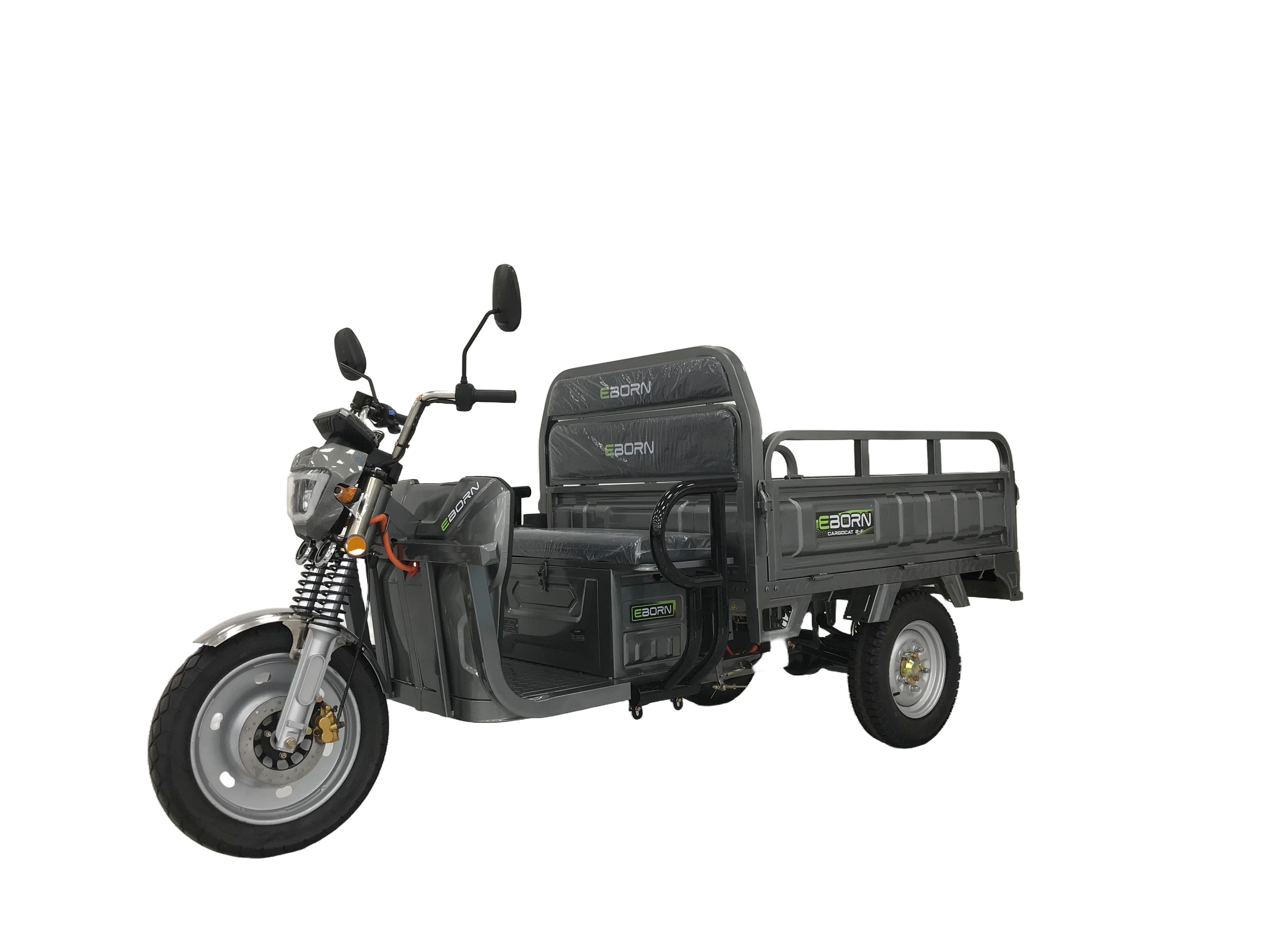 Eborn Cargo Cat 2 V2