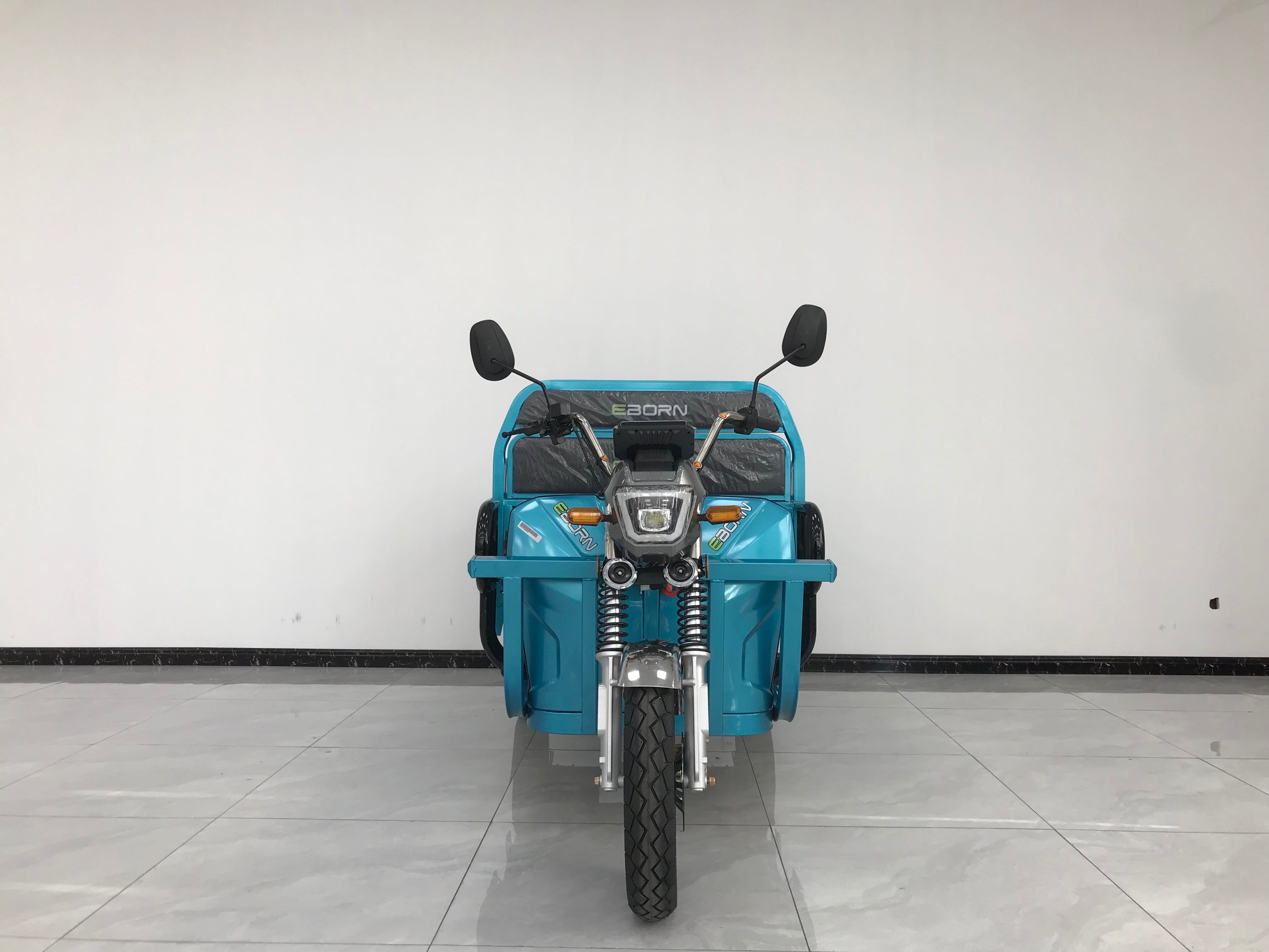 Eborn Cargo Cat 2 V2