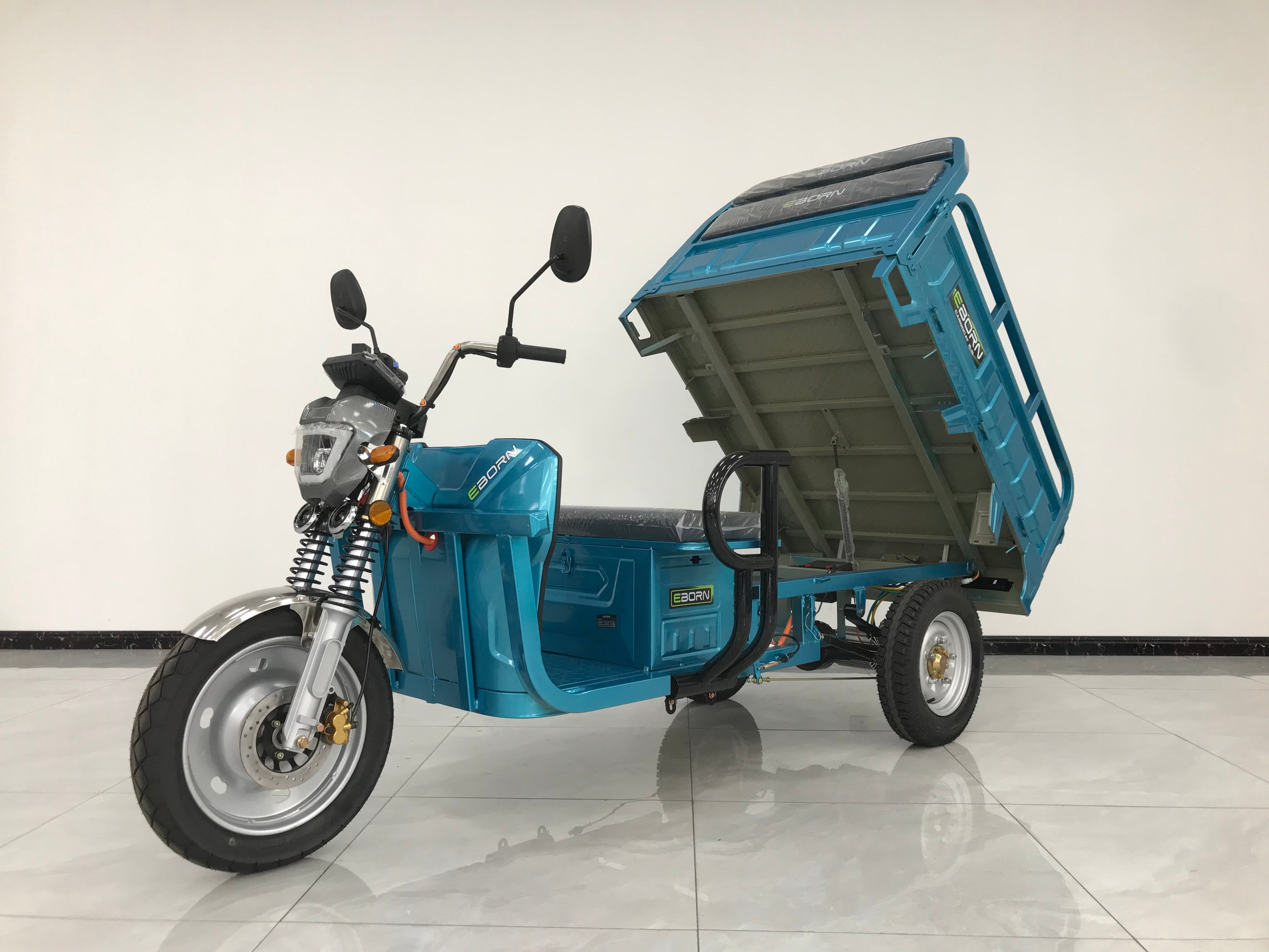 Eborn Cargo Cat 2 V2