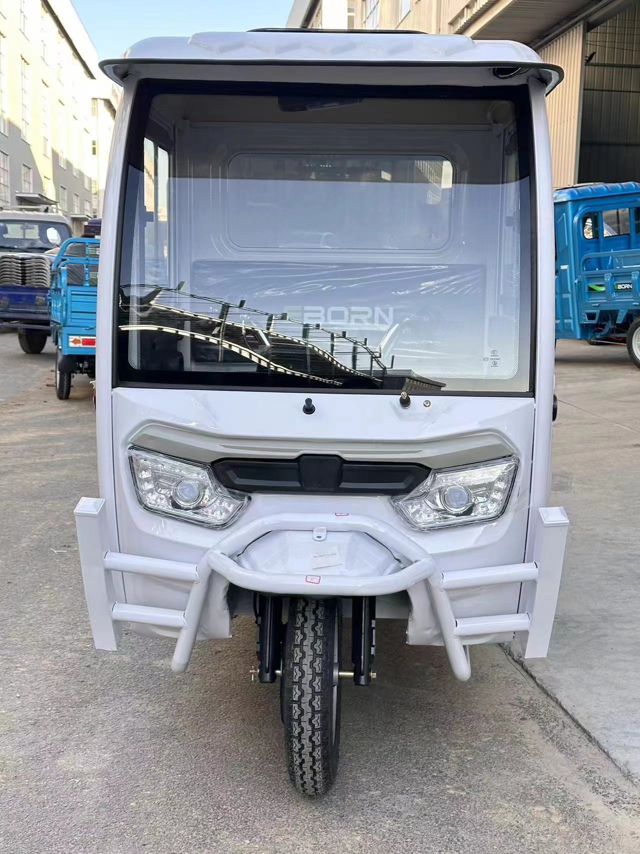 Eborn Cargo Cat 3-B (Box)