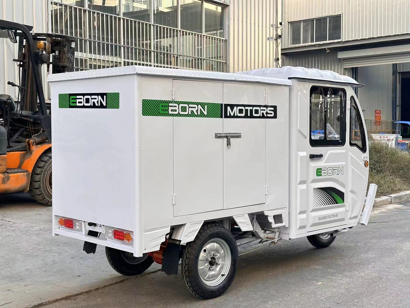 Eborn Cargo Cat 3-B (Box)