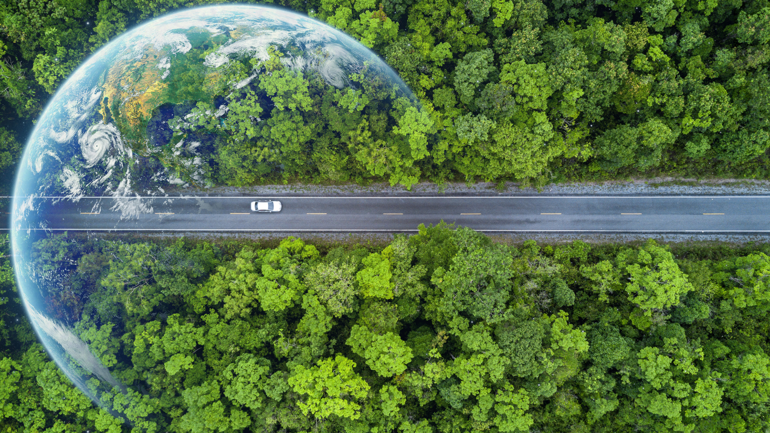 Elektrofahrzeuge: Auf dem Weg in die Mobilität von morgen!