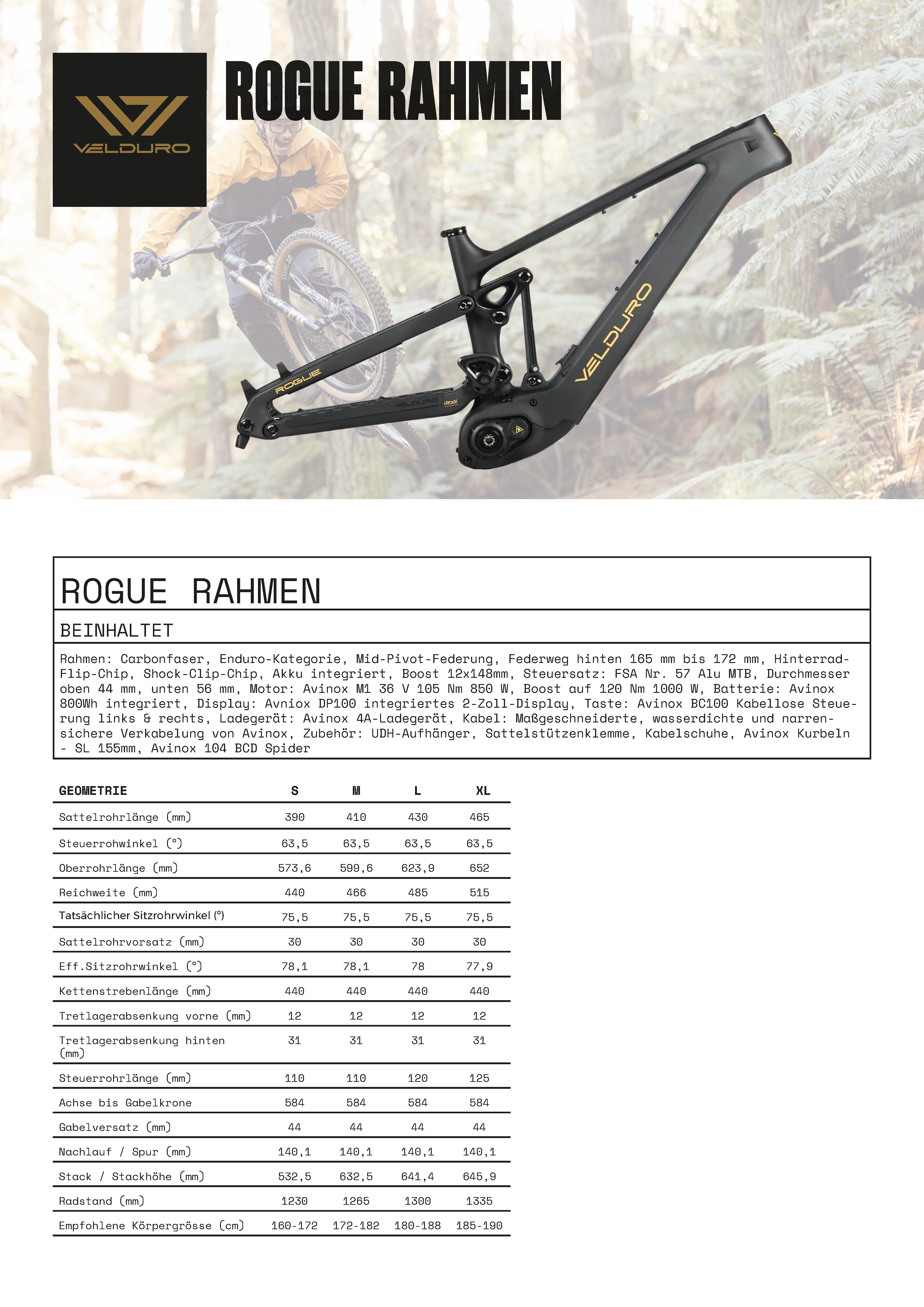 Velduro Rogue (MTB) - Frameset | powered by DJI